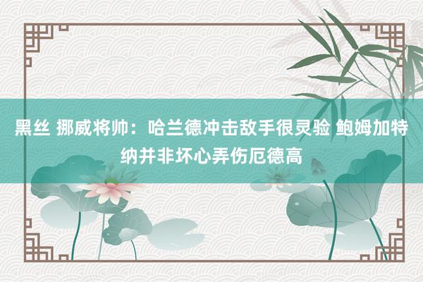 黑丝 挪威将帅：哈兰德冲击敌手很灵验 鲍姆加特纳并非坏心弄伤厄德高